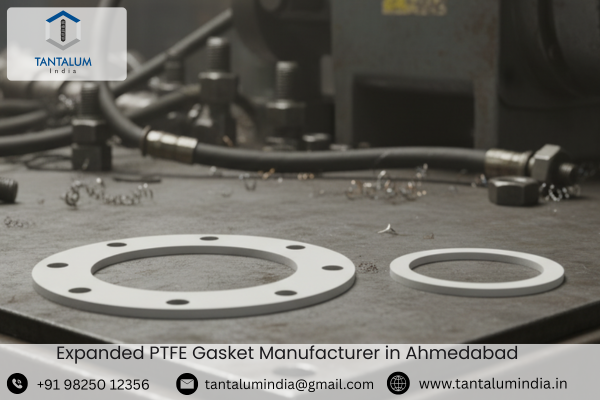 Expanded PTFE Gasket Manufacturer in Ahmedabad
